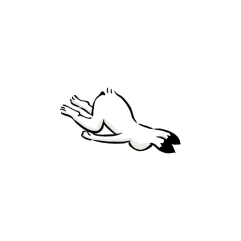 倒れるうさぎ